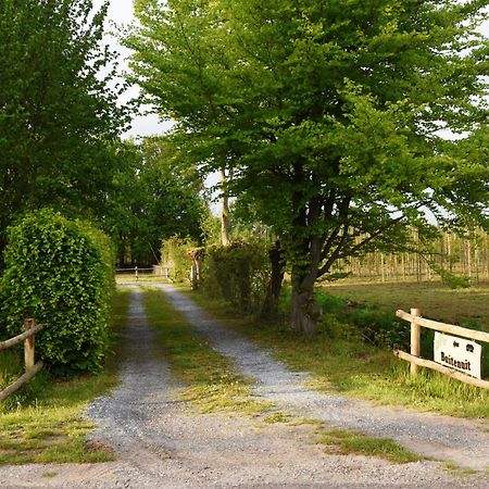 Buitenuit Boxtel Εξωτερικό φωτογραφία